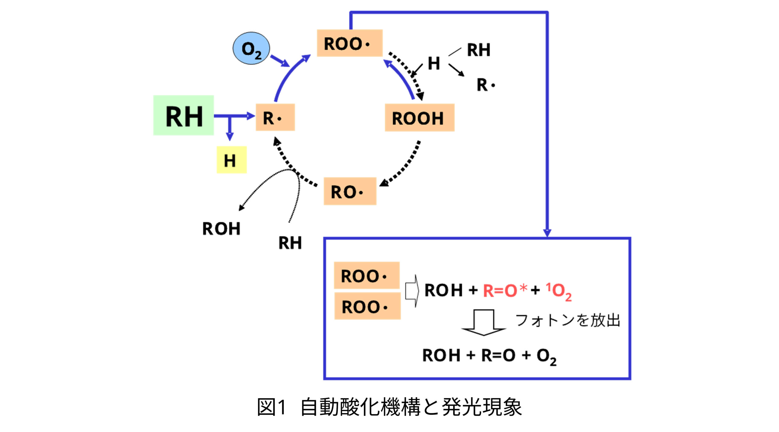化学発光イメージング法による高分子材料の耐酸化性評価 | 株式会社