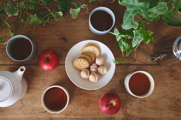 きほんのうつわ こなれ小鉢 2枚セット | TOKILABOトキラボ