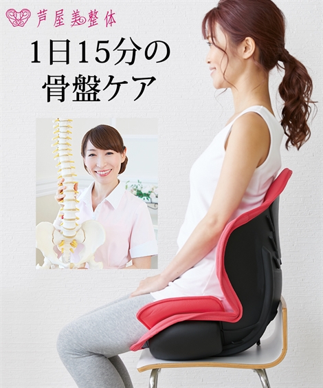 芦屋美整体骨盤スリムスタイリーエアー 通販【ニッセン】