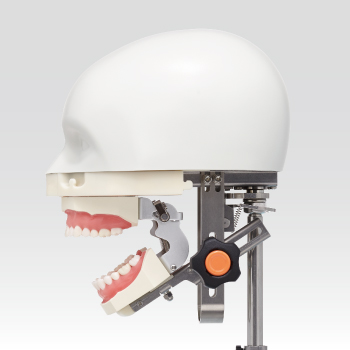 頬粘膜ボックス フルカバーB｜株式会社ニッシン｜歯科模型・歯科材料の