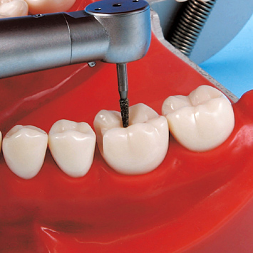 2色レジン製顎模型 [D51FE-500E](FE咬合器つき)｜株式会社ニッシン