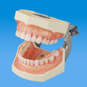 500HPRO用粘膜(病変粘膜) [500HPRO-B1-F-GSF(ピンク)]｜株式会社