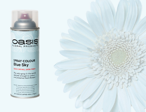 理想のブルー』を叶える、新色3種発売オアシスⓇカラースプレー