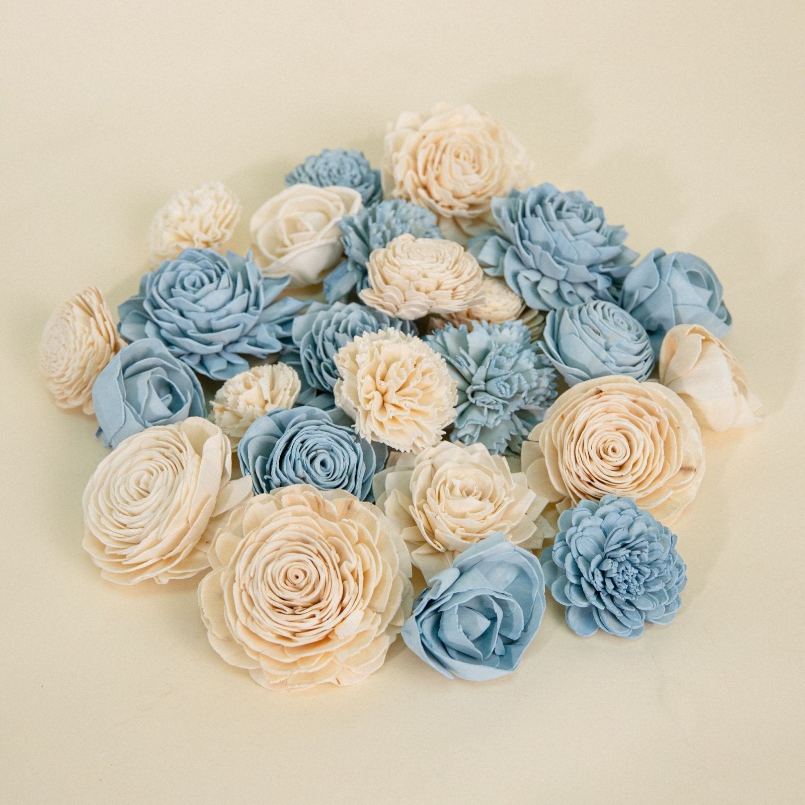 Eloise Dyed Assortment 25 Pack - No Bark – Sola Wood Flowers