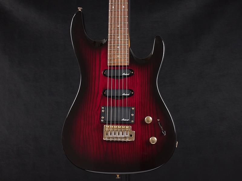 Aria Pro II Magna series 税込販売価格 ￥18,800- 中古 ビギナーに