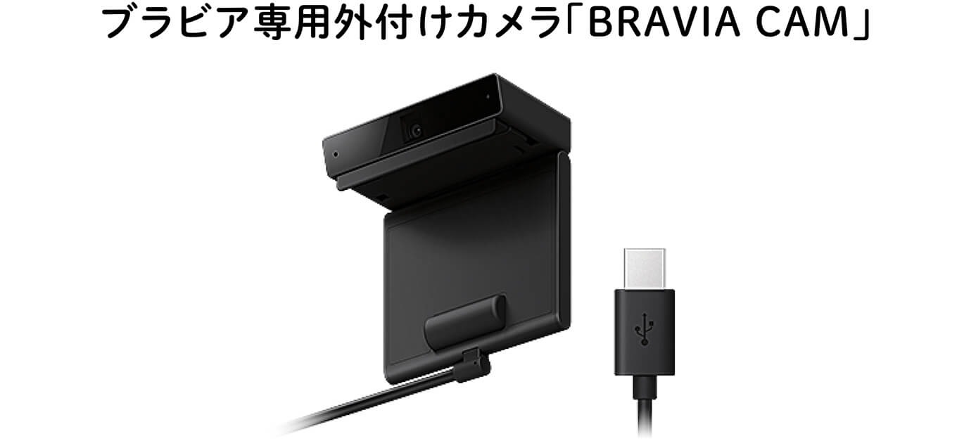 ブラビアご愛用者様限定BRAVIA CAMプレゼントキャンペーン | テレビ