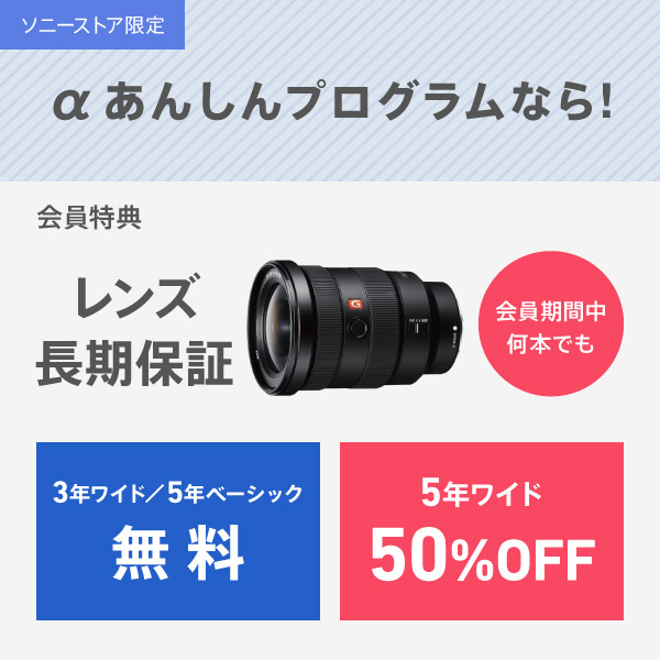 SEL24105G 購入 | デジタル一眼カメラ α：アルファ | ソニー