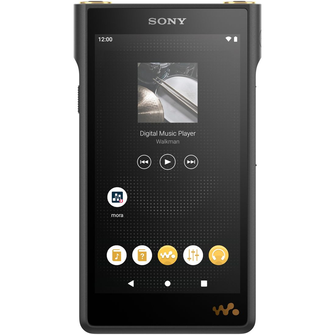 NW-WM1AM2 購入 | ポータブルオーディオプレーヤー ウォークマン | ソニー