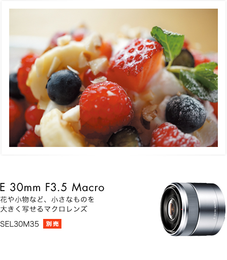 α5000 特長 : カメラまかせで簡単きれい | デジタル一眼カメラα