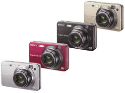 DSC-W170 | デジタルスチルカメラ Cyber-shot サイバーショット | ソニー