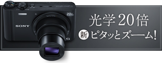 DSC-WX300 特長 : 光学20倍プレミアム・ハイズーム | デジタルスチル