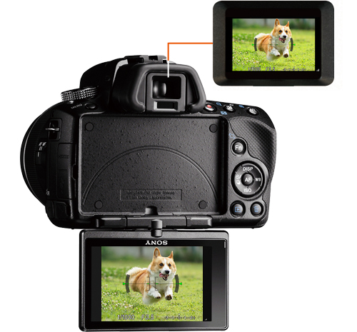 SLT-A55V 特長 : 進化した「クイックAFライブビュー」機能 | デジタル
