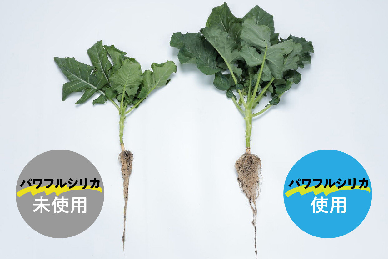 土壌改良材 「パワフルシリカ」｜タネ（種）・苗・園芸用品は【サカタ