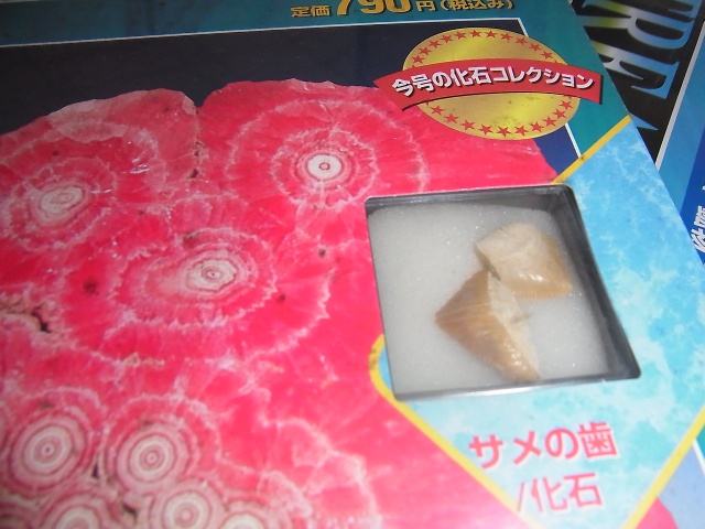 買取事例『トレジャー・ストーン』(デアゴスティーニ) ｜三月兎之杜