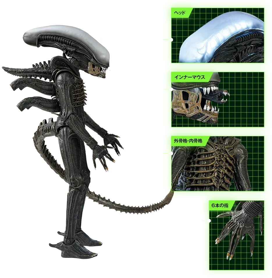 アシェット買取強化中｜『週刊エイリアン ゼノモーフをつくる』1/2