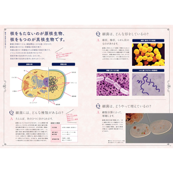 世界でいちばん素敵な微生物の教室 | 三才ブックス