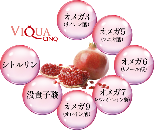 SantéAge [サンテアージュ] - NINAPHARM JAPON｜ポジティブ