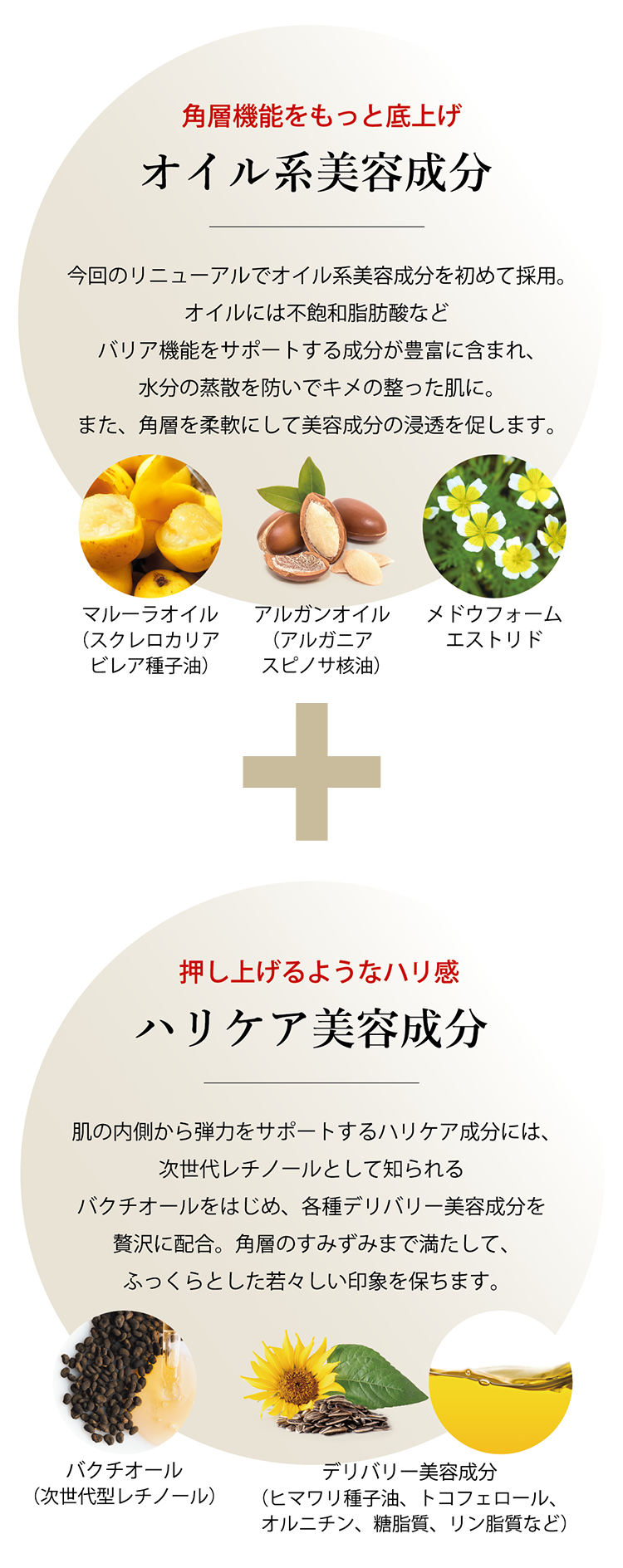 SantéAge [サンテアージュ] - NINAPHARM JAPON｜ポジティブ