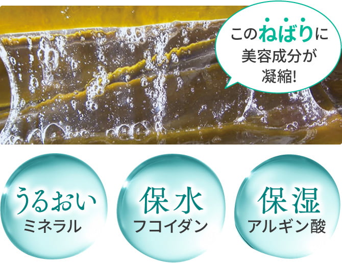 利尻ヘアカラー・無添加化粧品 自然派clubサスティ[白髪用] 利尻ヘア