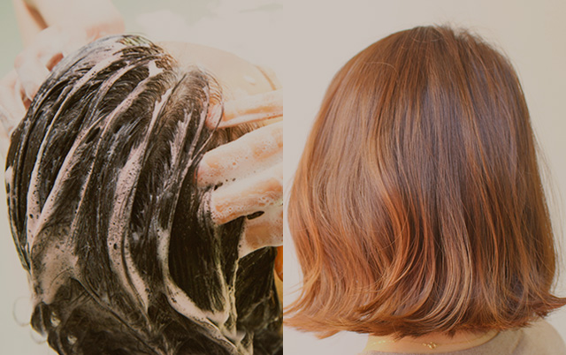 利尻ヘアカラー・無添加化粧品 自然派clubサスティ