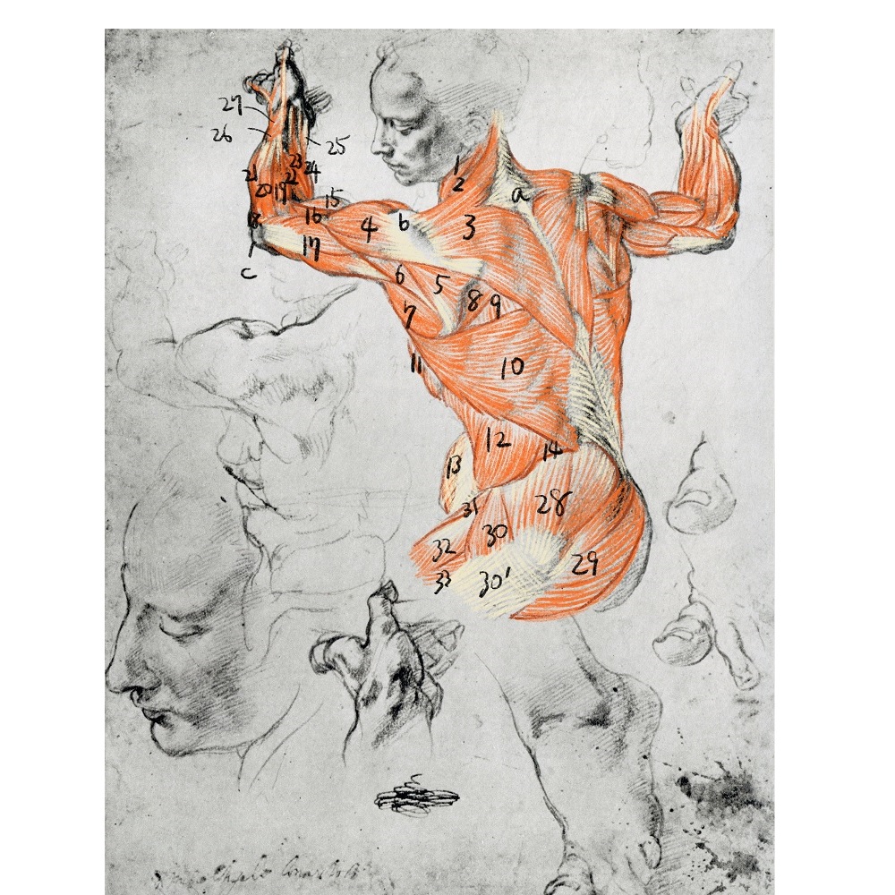 名画・名彫刻の美術解剖学 | SBクリエイティブ