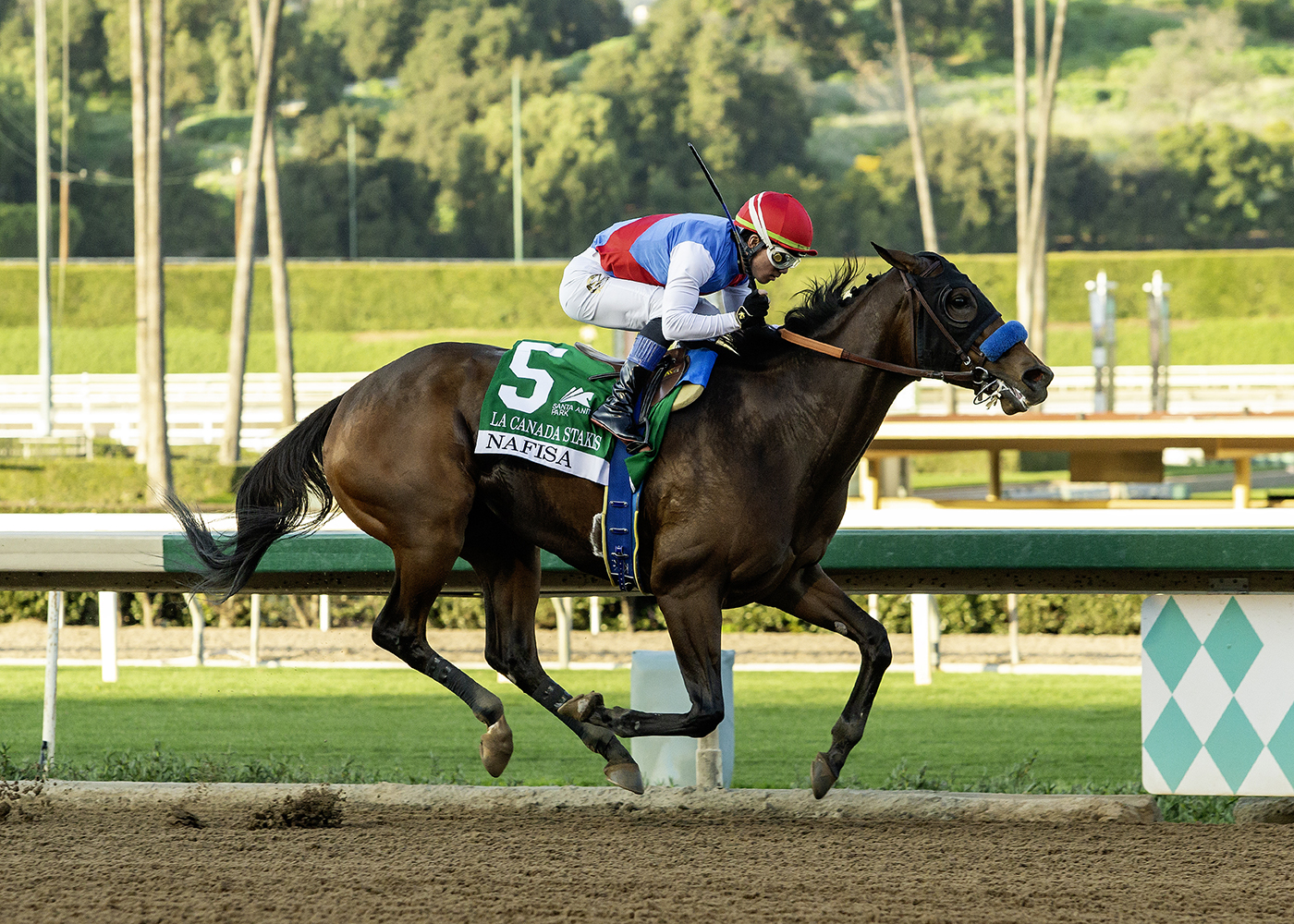 Horse racing: Skippylongstocking wins Pegasus World Cup in upset