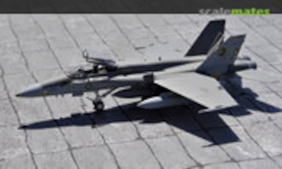F/A-18C Hornet `1996 Dragon 300´, Hasegawa 02885 (1998)