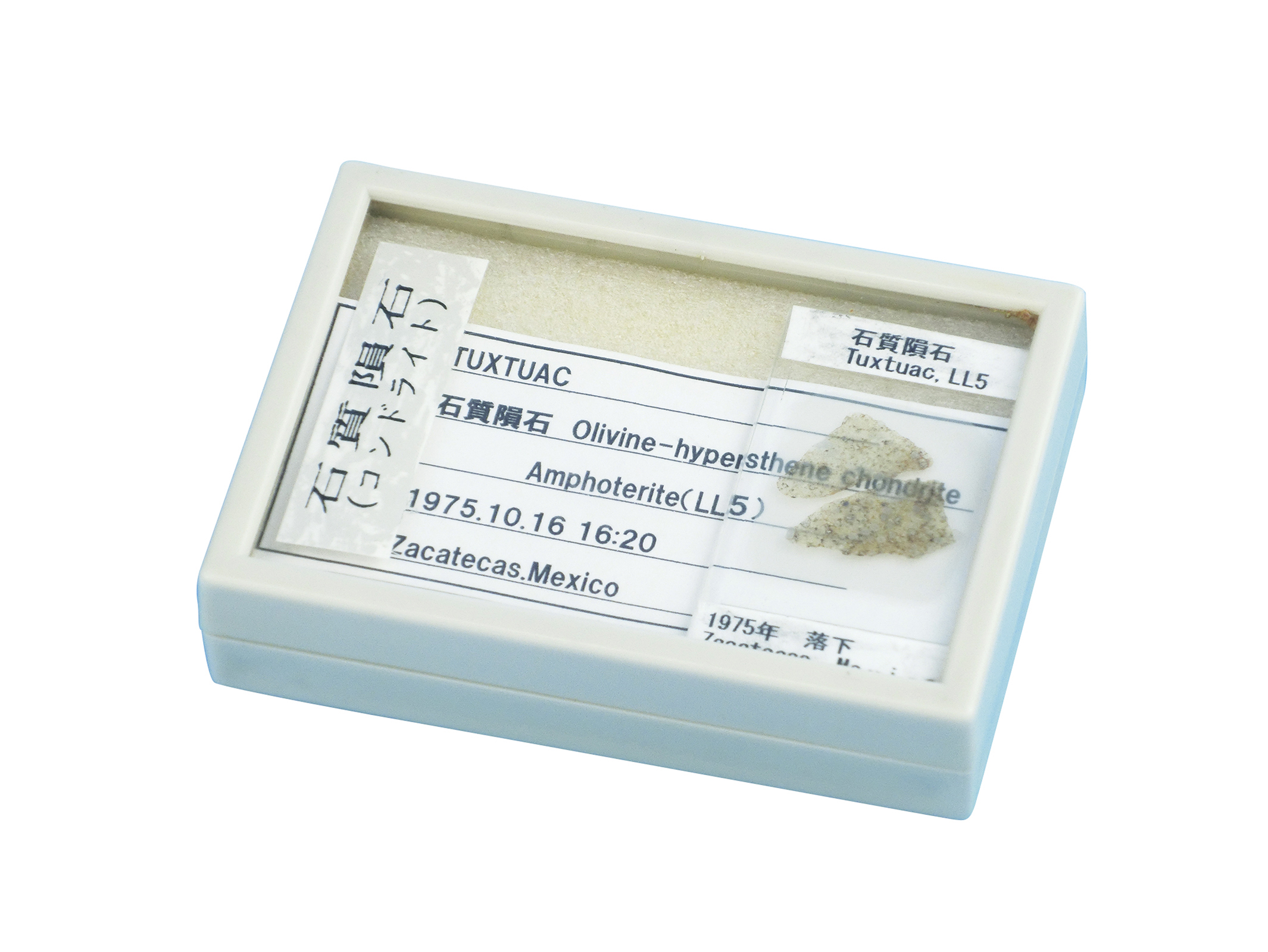 石質隕石プレパラート