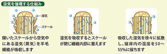 ナーシングラッグ 尖足(せんそく)防止プロテクター NR-13 両足用