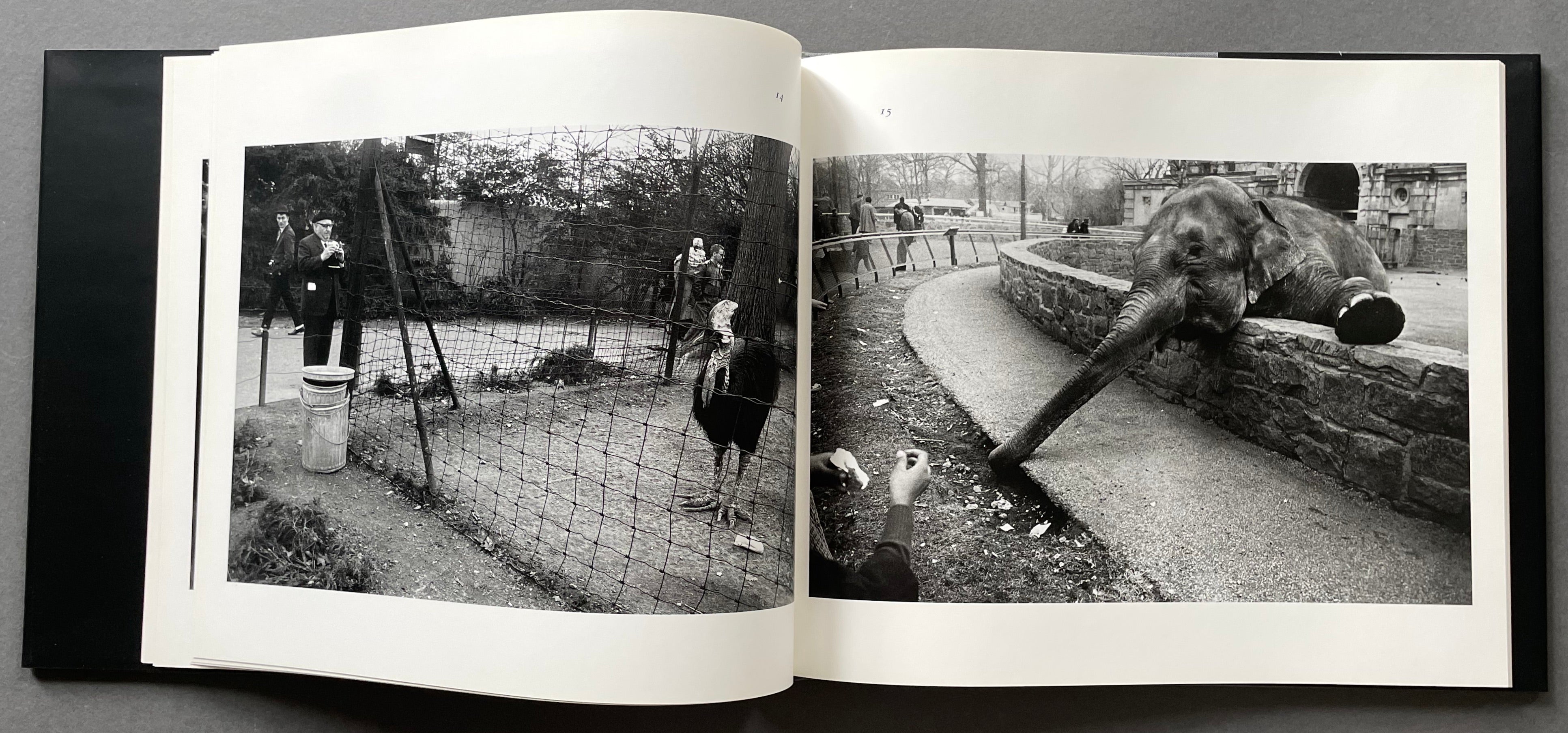 Buy The Animals by Garry Winogrand online – Setanta Books