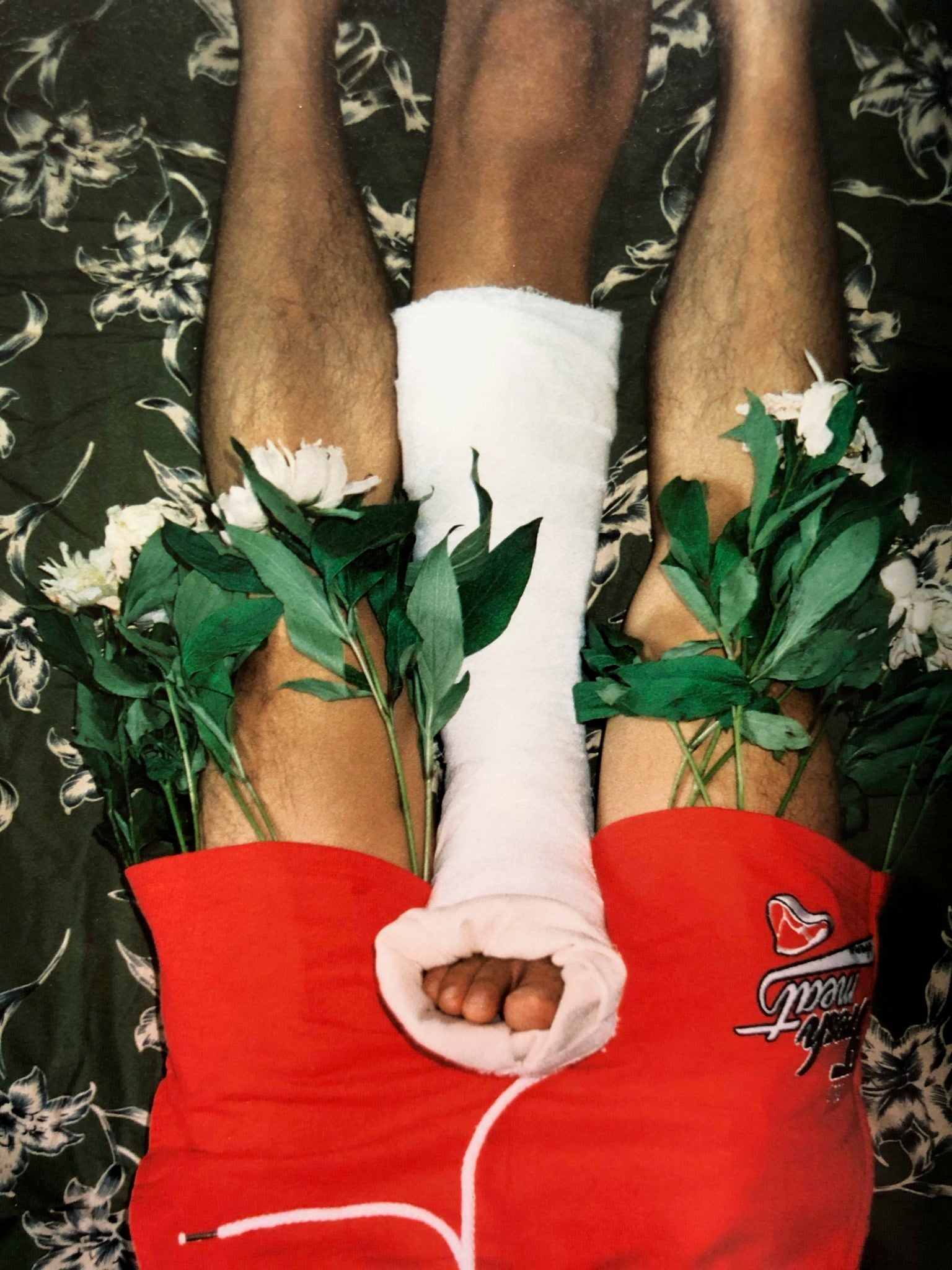 Buy Flowers and Fruits by Lin Zhipeng (No.223) online – Setanta Books