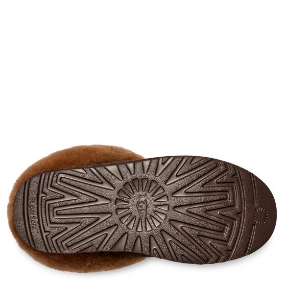 UGG W Tazzlita Hardwood | Seymour's Home