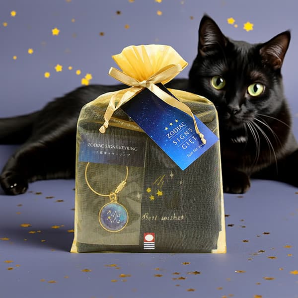 星座 猫好き 誕生日プレゼント（今治タオルハンカチ＋キーホルダー＋