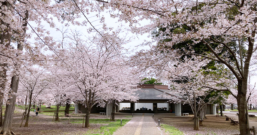 千葉市 桜木霊園