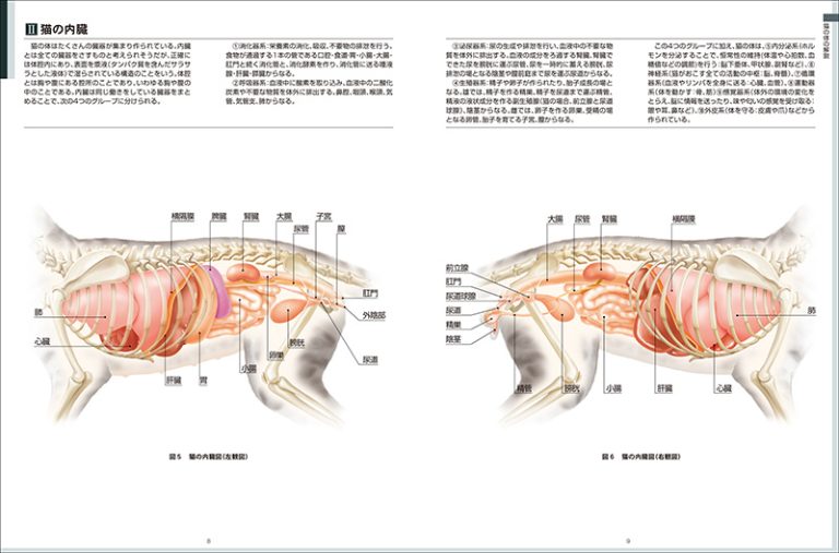 最新 くわしい猫の病気大図典 | 株式会社誠文堂新光社