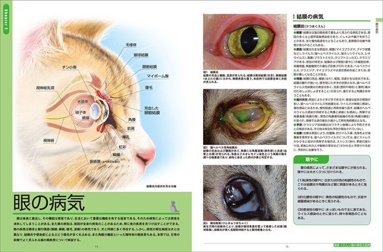 最新 くわしい猫の病気大図典 | 株式会社誠文堂新光社