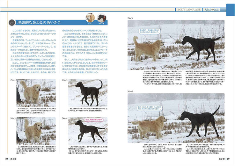 ドッグ・トレーナーに必要な「深読み・先読み」テクニック | 株式会社