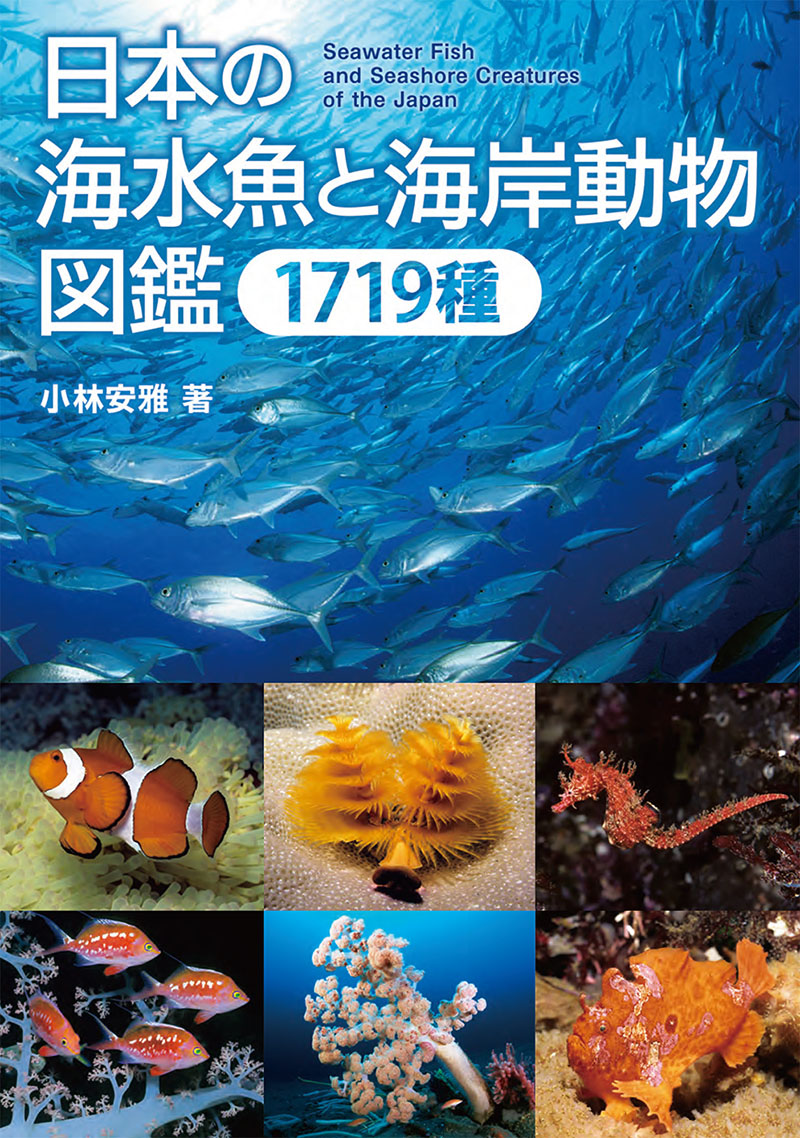 日本の海水魚と海岸動物図鑑 1719種 | 株式会社誠文堂新光社