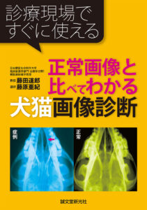 多元計算解剖学の基礎と臨床への応用 | 株式会社誠文堂新光社