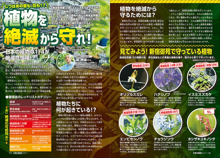 子供の科学 2025年7月号［別冊付録付き］ | 株式会社誠文堂新光社