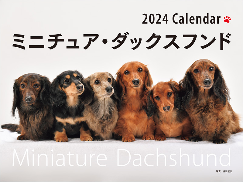2024年カレンダー ワイド判 ミニチュア・ダックスフンド | 株式会社誠