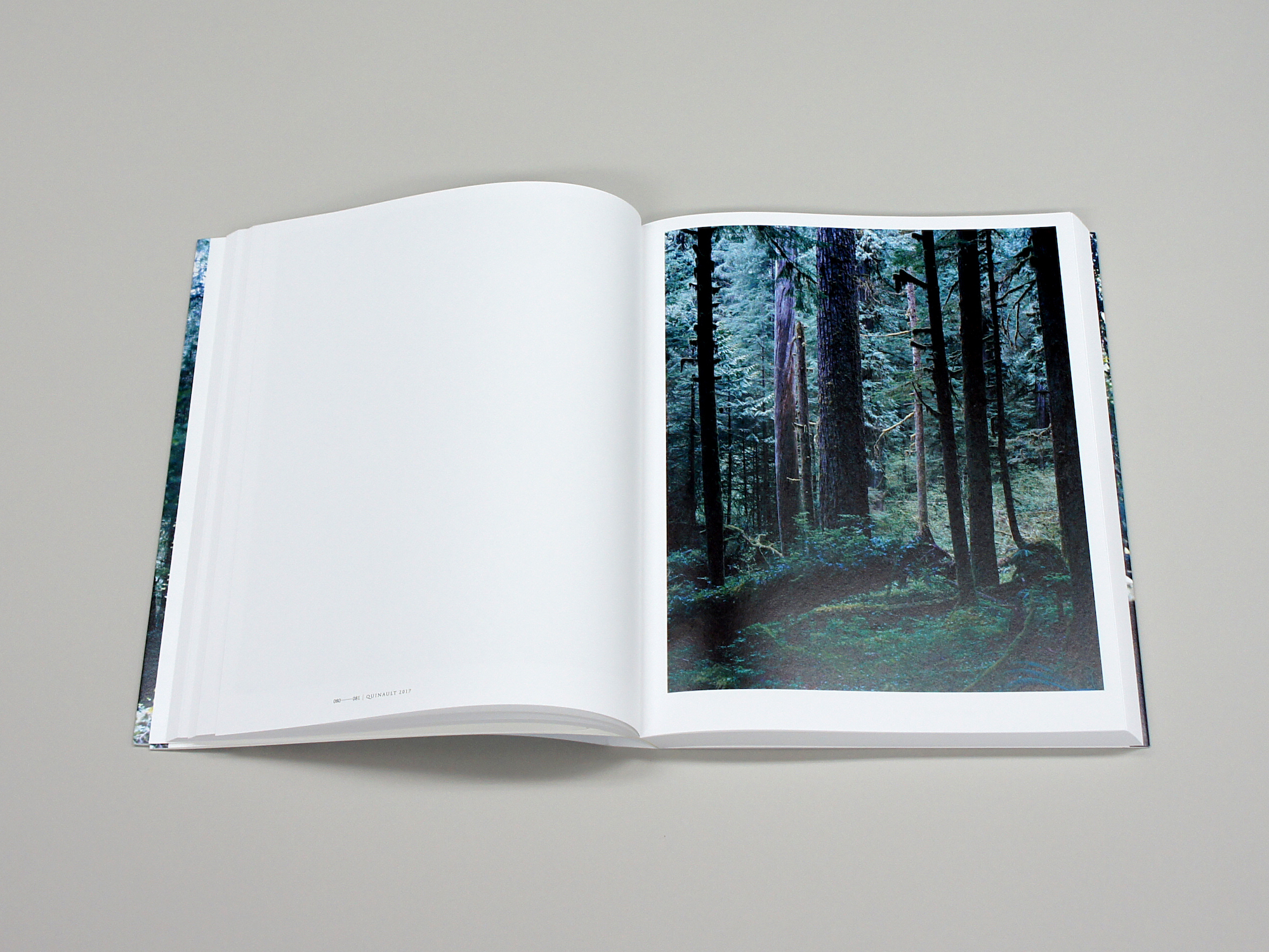 上田義彦写真集 FOREST 印象と記憶 1989-2017｜青幻舎 SEIGENSHA Art