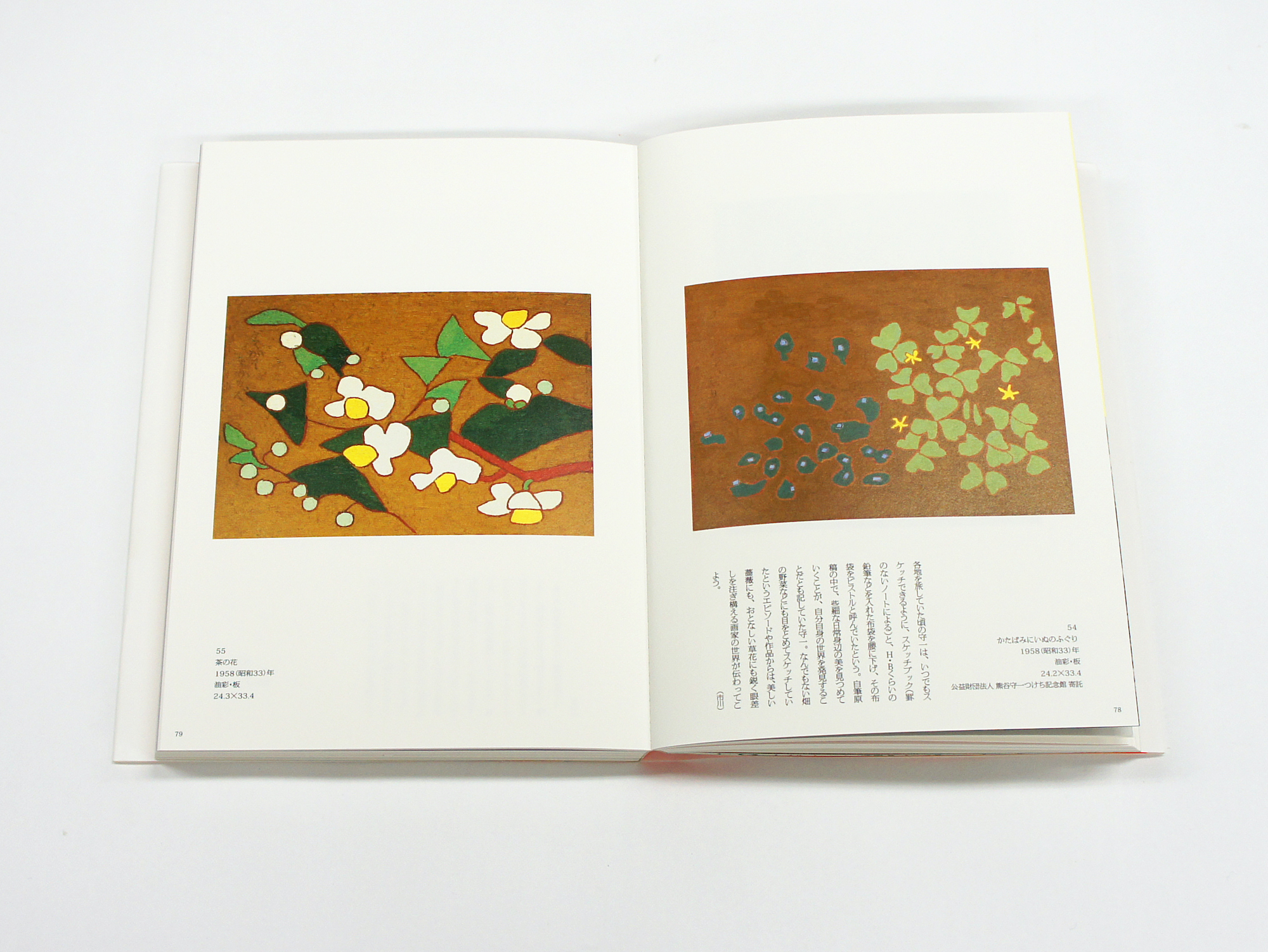 熊谷守一 いのちを見つめて｜青幻舎 SEIGENSHA Art Publishing, Inc.