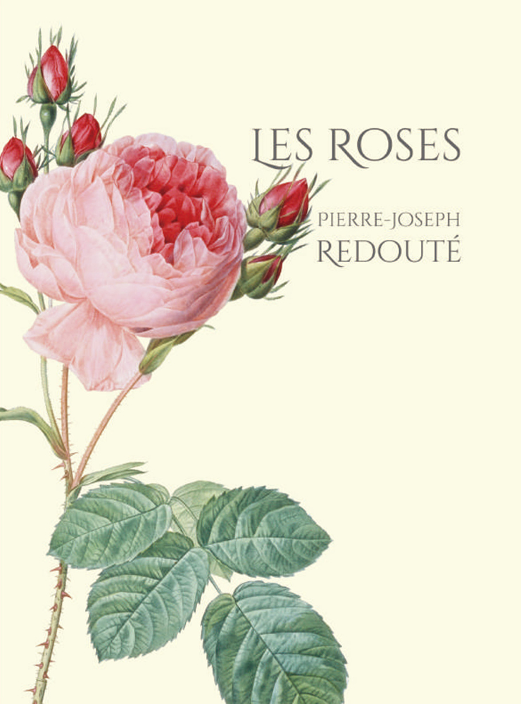 Les Roses バラ図譜｜青幻舎 SEIGENSHA Art Publishing, Inc.
