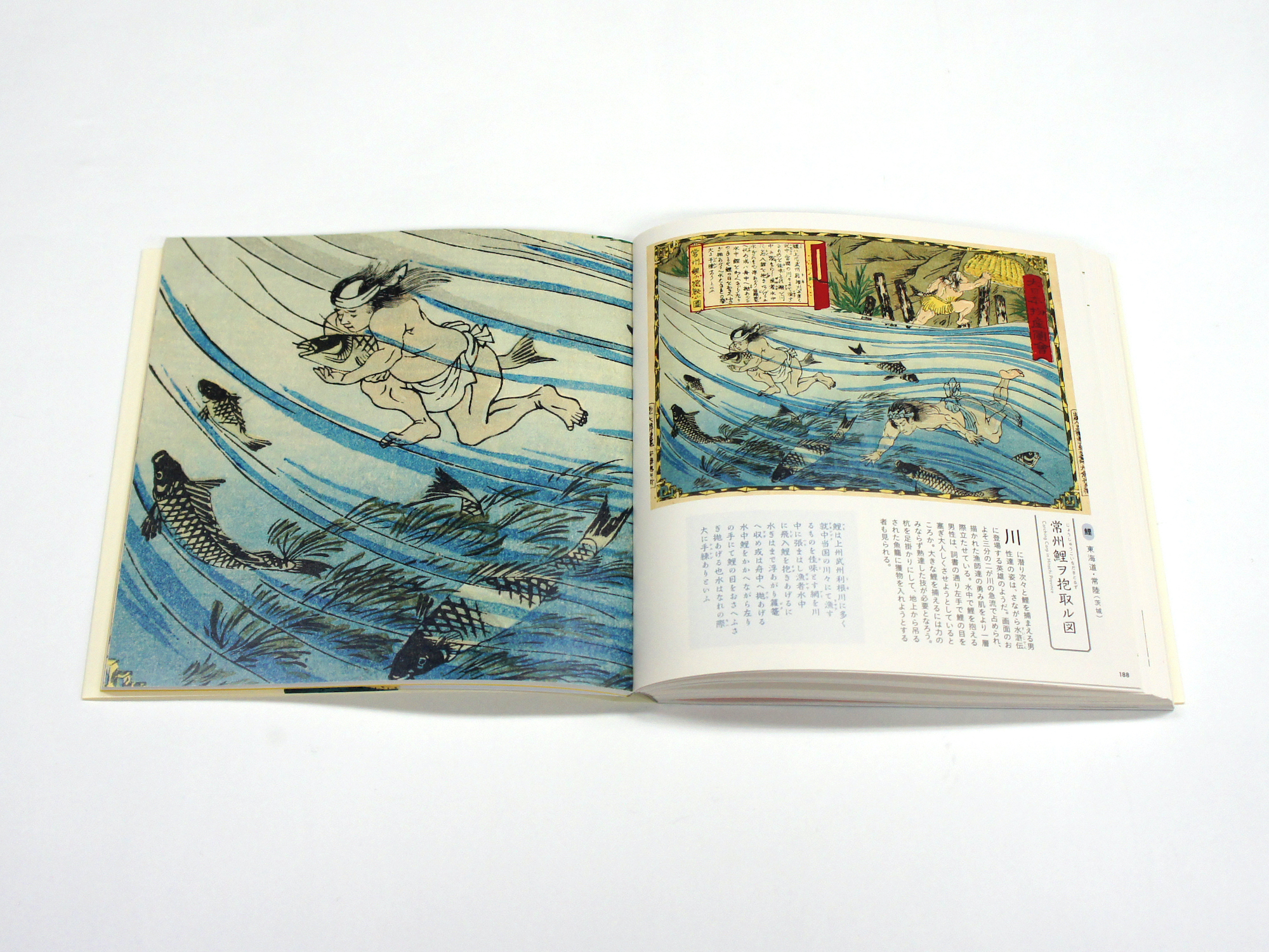 はたらく浮世絵 大日本物産図会｜青幻舎 SEIGENSHA Art Publishing, Inc.