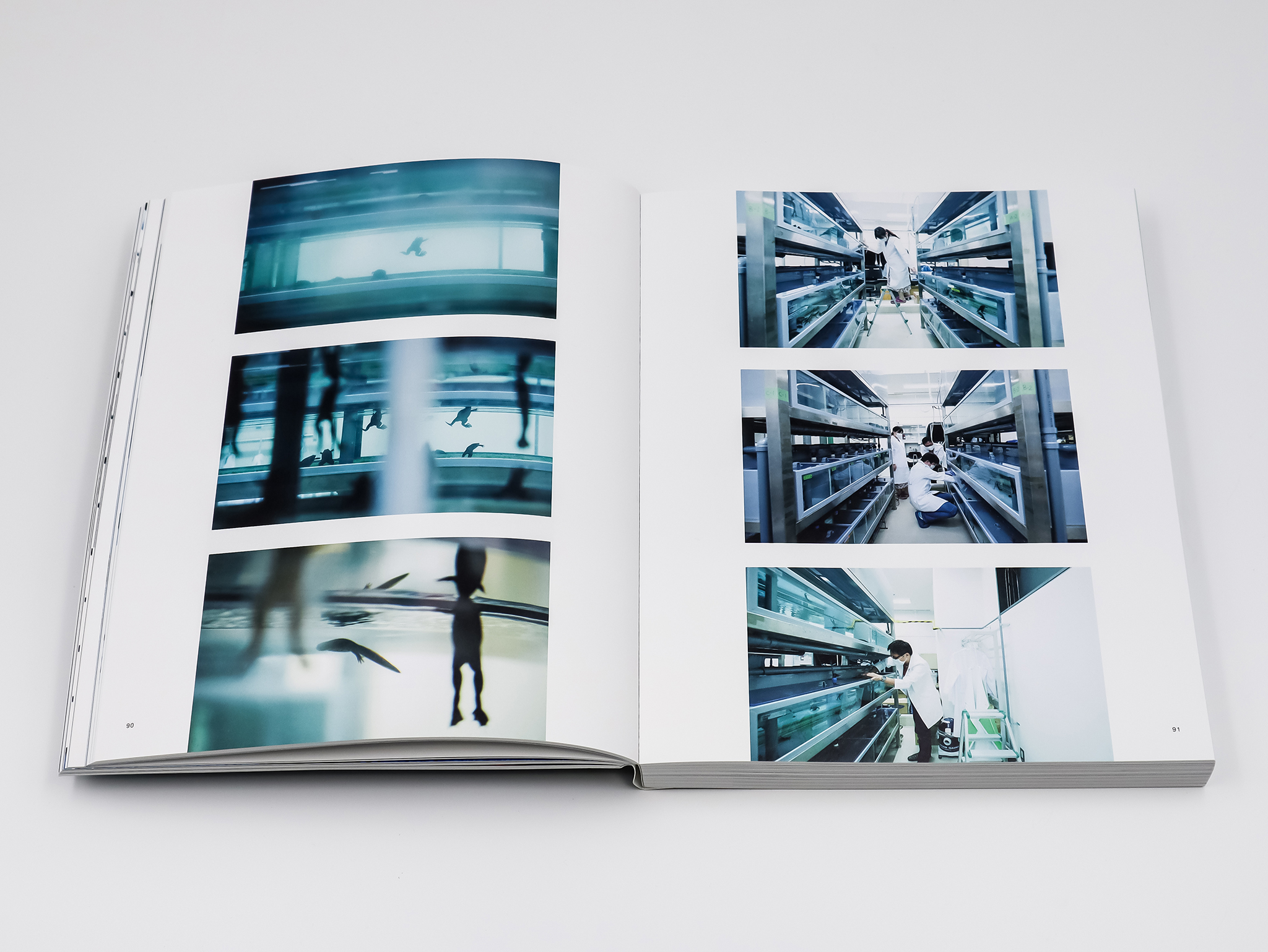 if-then 伊藤之一写真集｜青幻舎 SEIGENSHA Art Publishing, Inc.