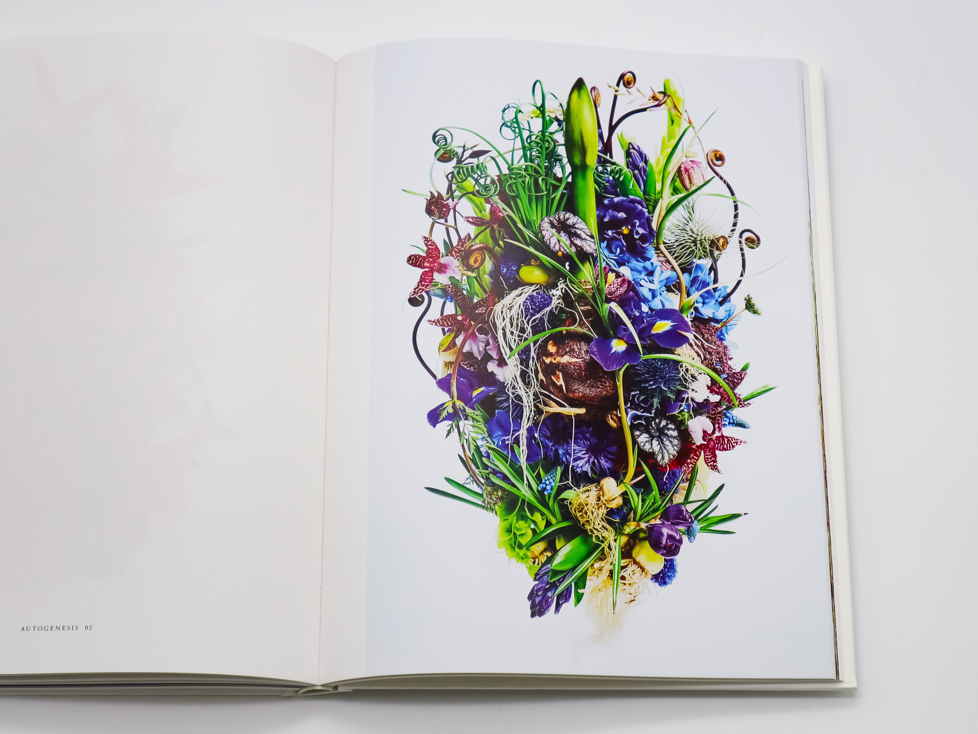 ENCYCLOPEDIA OF FLOWERS Ⅴ 植物図鑑｜青幻舎 SEIGENSHA Art