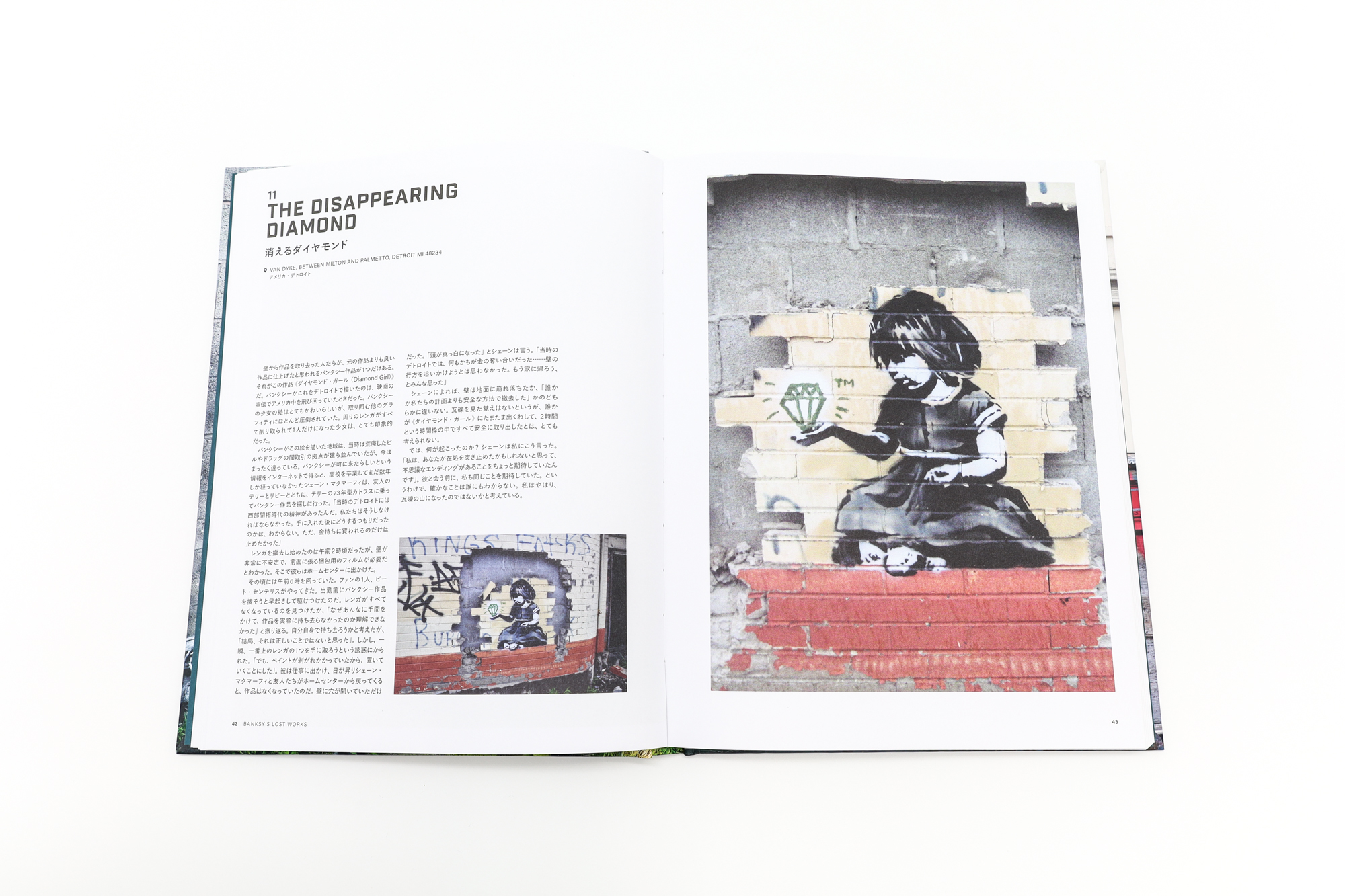 失われたバンクシー あの作品は、なぜ消えたのか｜青幻舎 SEIGENSHA