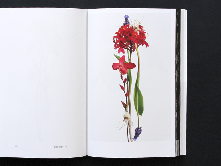 ENCYCLOPEDIA OF FLOWERS 植物図鑑｜青幻舎 SEIGENSHA Art Publishing