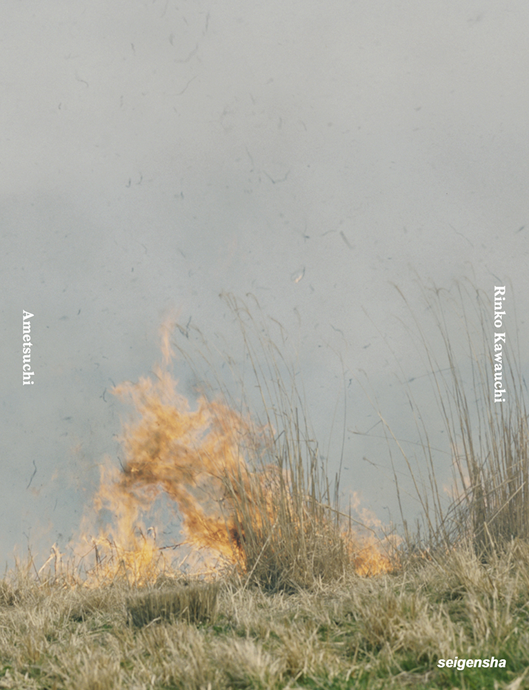 あめつち｜青幻舎 SEIGENSHA Art Publishing, Inc.